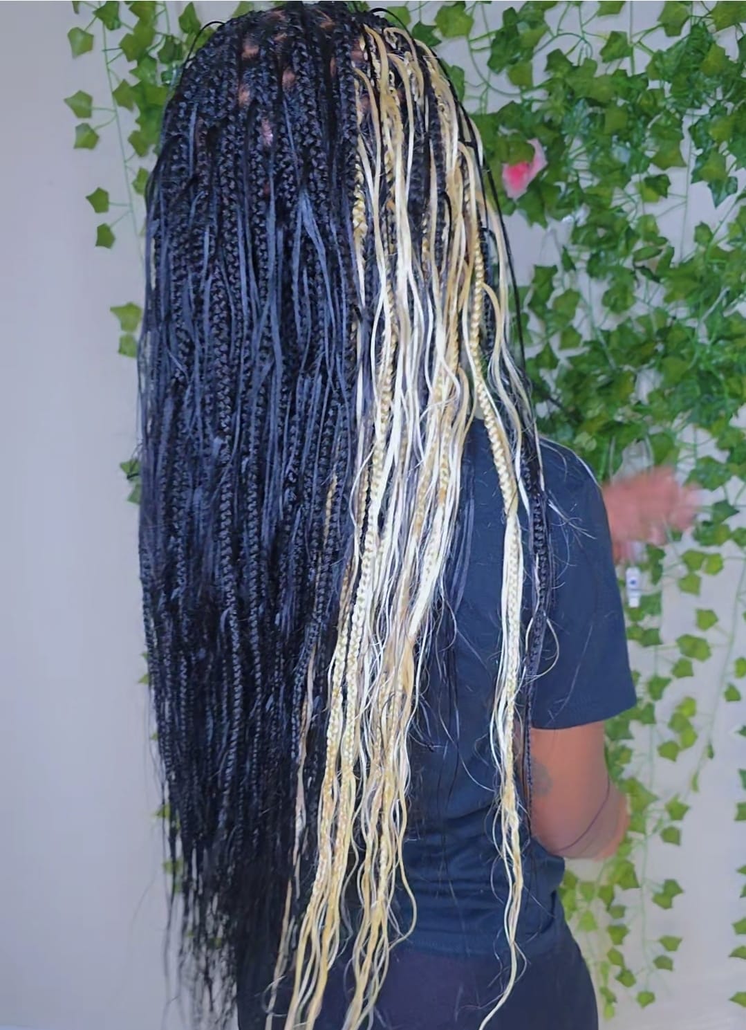 Goddess braids hairstyle gallery photo from Alven's Braiding Salon